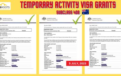 TEMPORARY ACTIVITY VISA GRANTS (SUBCLASS 408)