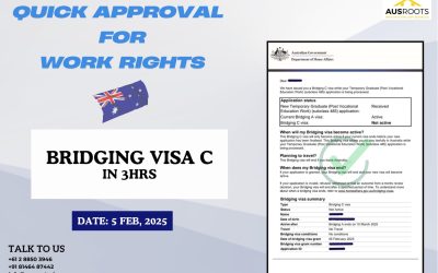 BRIDGING C VISA IN LESS THAN 3HRS- 5 FEB, 2025